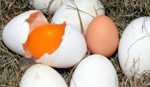 Egg yolks contain vitamin K2